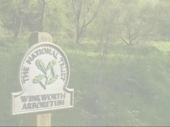 The National Trust. Winkworth Arboretum by Colin Smith, CC BY-SA 2.0 <https://creativecommons.org/licenses/by-sa/2.0>, via Wikimedia Commons
